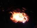 dsc00032.JPG