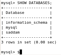 saddam.png