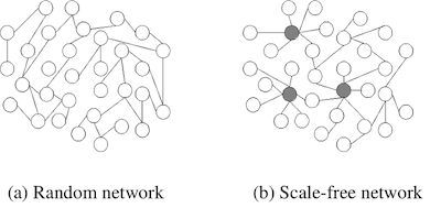 scale-free.png