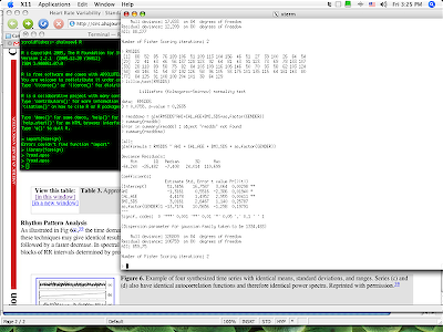 x11terminal.png